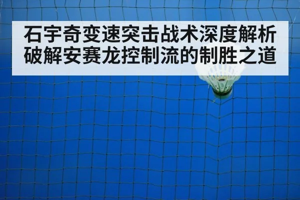 badminton net play