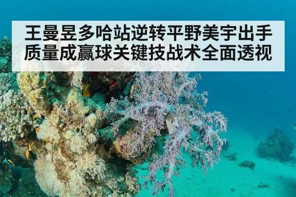 王曼昱多哈站逆转平野美宇出手质量成赢球关键技战术全面透视